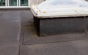 disadvantages of Cnoc An Torrain flat roofs